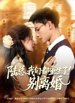 陆总我们都重生了别离婚