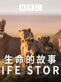 生命的故事