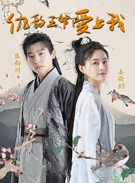 仇敌王爷爱上我