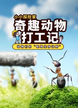 小小探险家：奇趣动物打工记