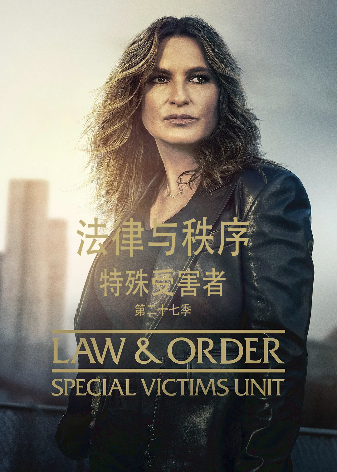 法律与秩序：特殊受害者第二十七季
