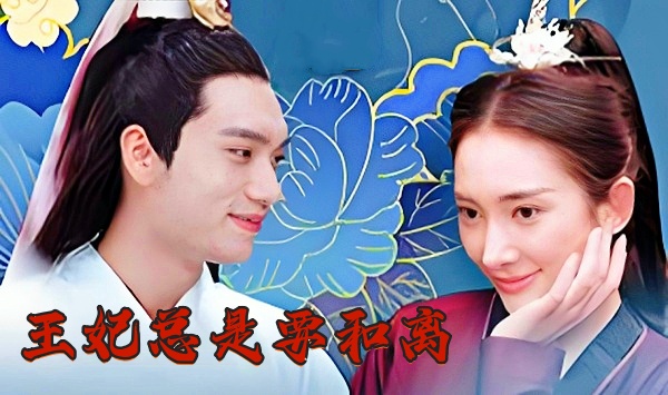 王妃总是要和离
