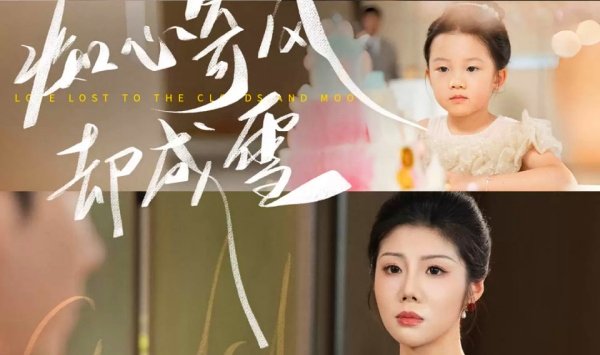 痴心寄风却成雪