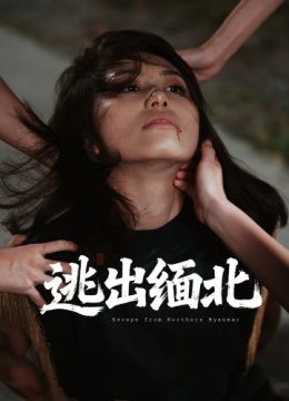 逃出缅北
