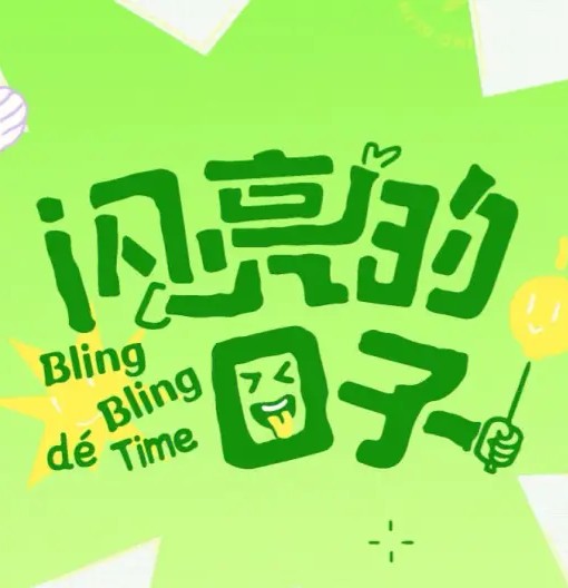 闪亮的日子第五季