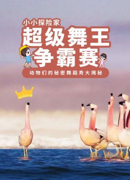 小小探险家：超级舞王争霸赛