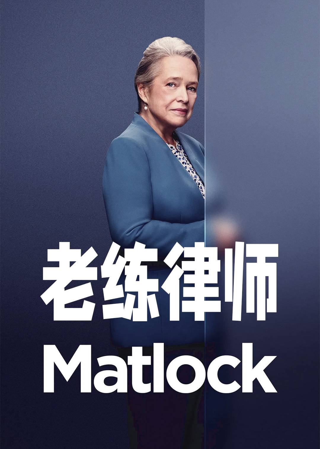 老练律师第一季