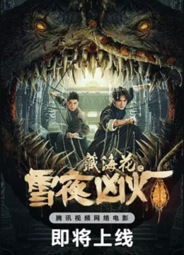 藏海花之雪夜凶灯