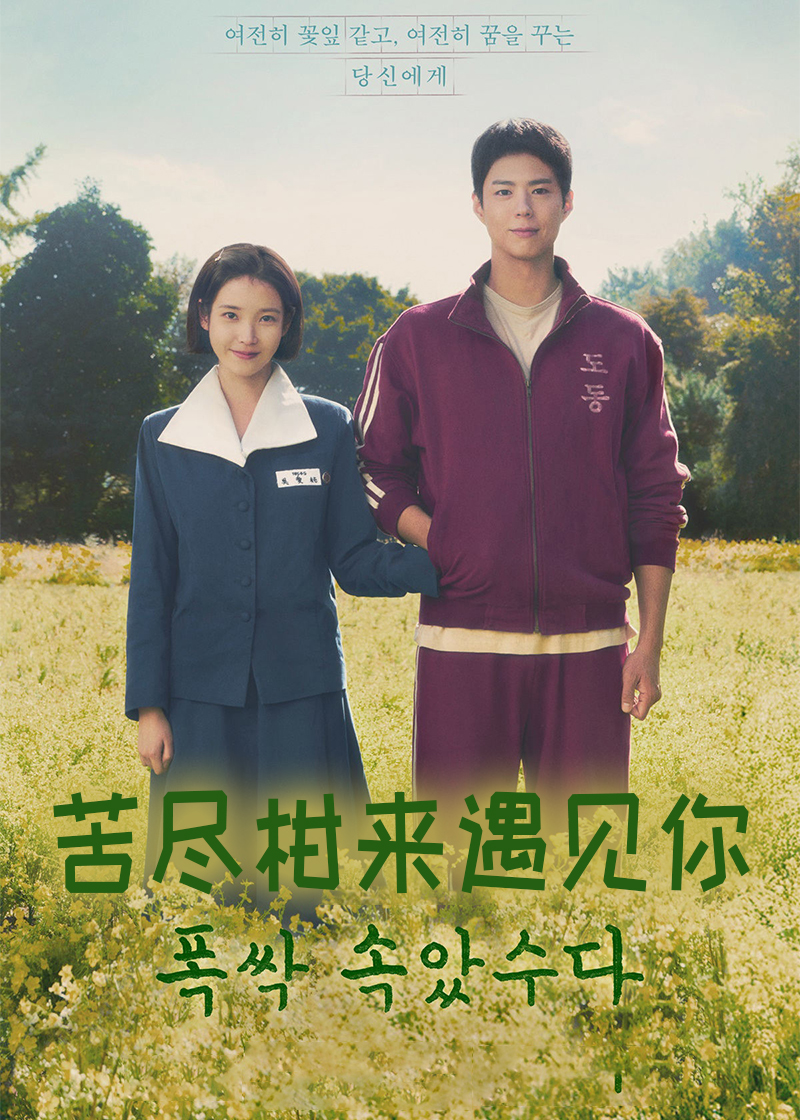 苦尽柑来遇见你