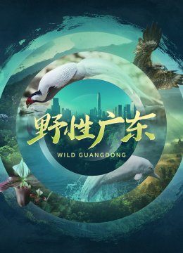 野性广东