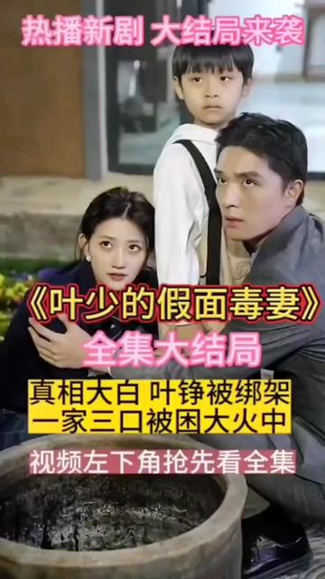 叶少的假面毒妻