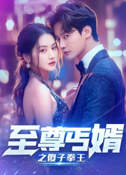 至尊傻婿之傻子拳王