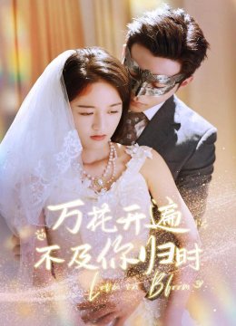 万花开遍不及你归时