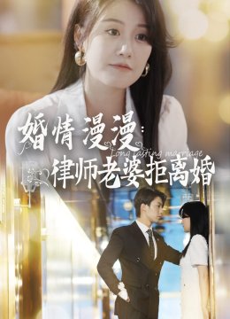 婚情漫漫：律师老婆拒离婚
