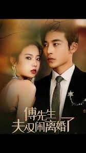 傅先生夫人又闹离婚了