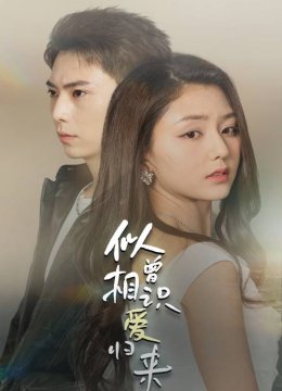 似曾相识爱归来