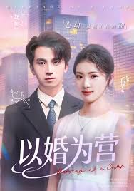 以婚为营