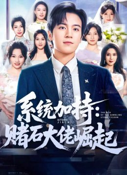 系统加持：赌石大佬崛起