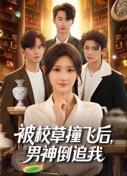 被校草撞飞后，男神倒追我