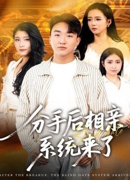 分手后相亲系统来了