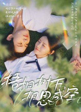 梧桐树下，相思成空