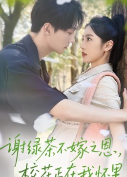 谢绿茶不嫁之恩校花正在我怀里