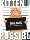 超能猫咪
