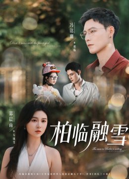 柏临融雪