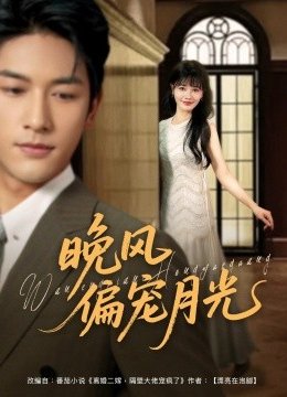 晚风偏宠月光