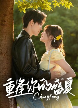 重逢你的盛夏