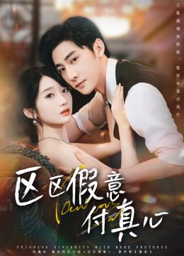区区假意付真心