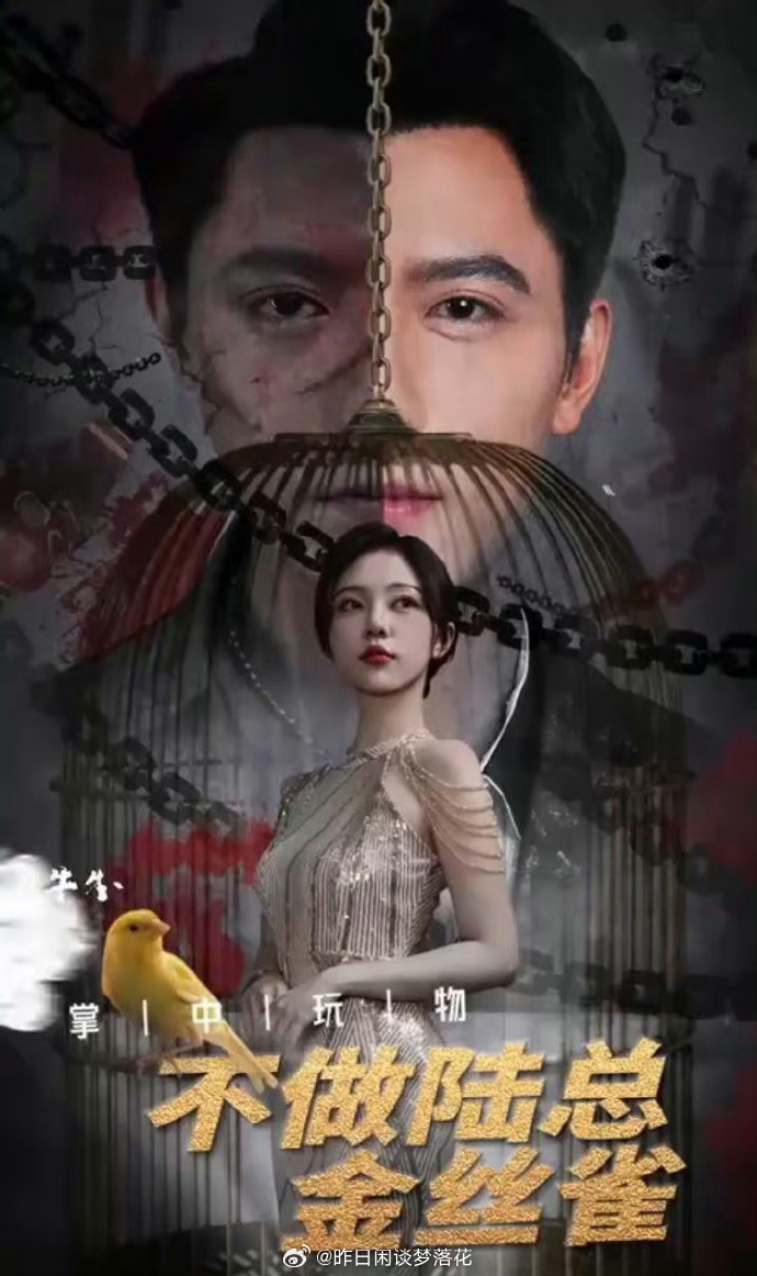 掌中玩物不做陆总金丝雀