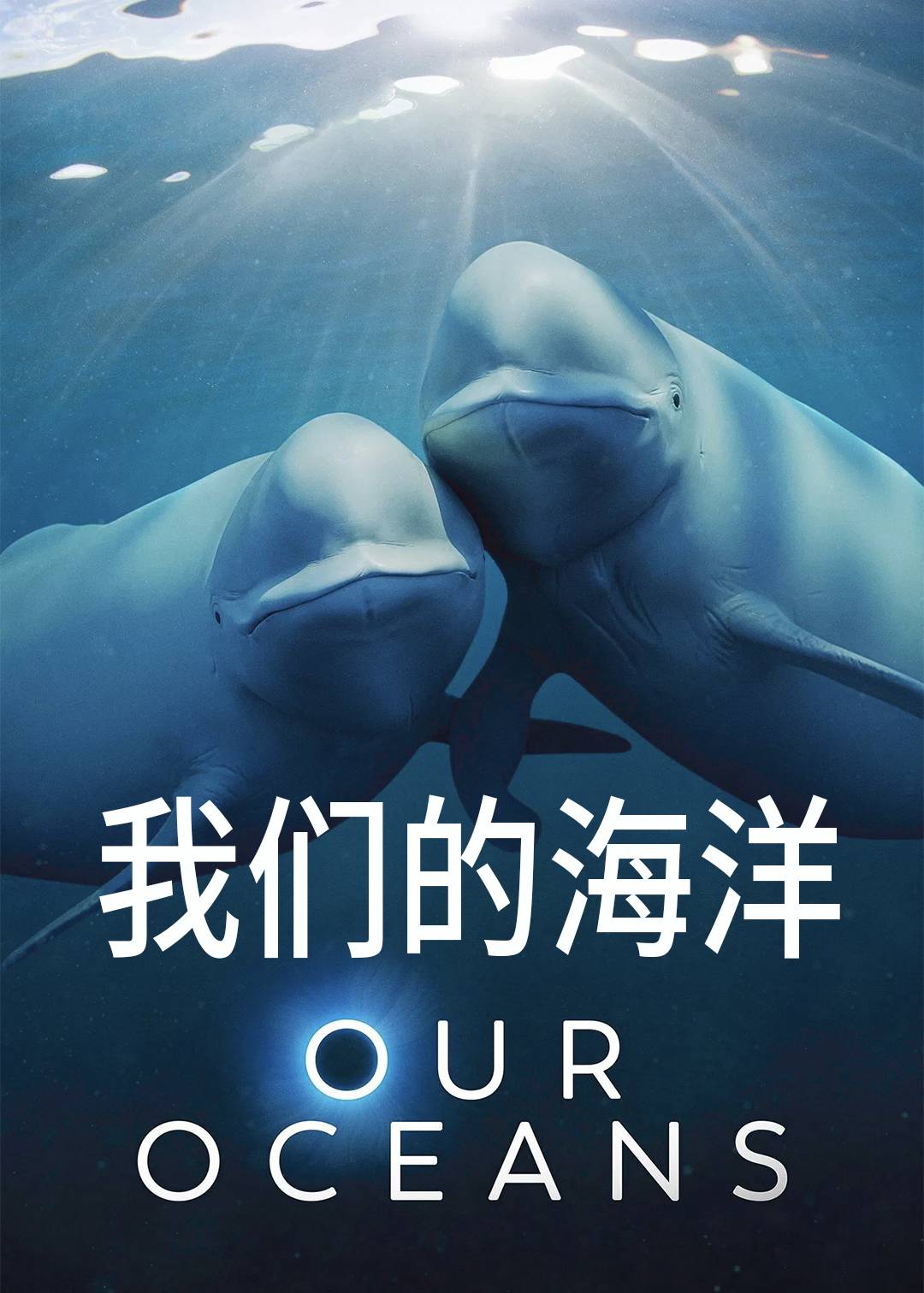 我们的海洋