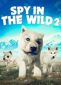 荒野间谍第二季