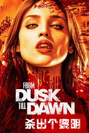 杀出个黎明第一季