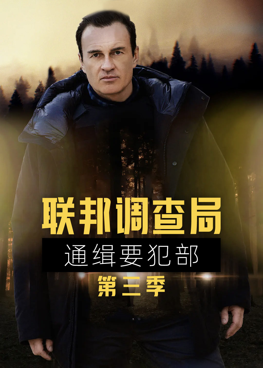 联邦调查局：通缉要犯第三季