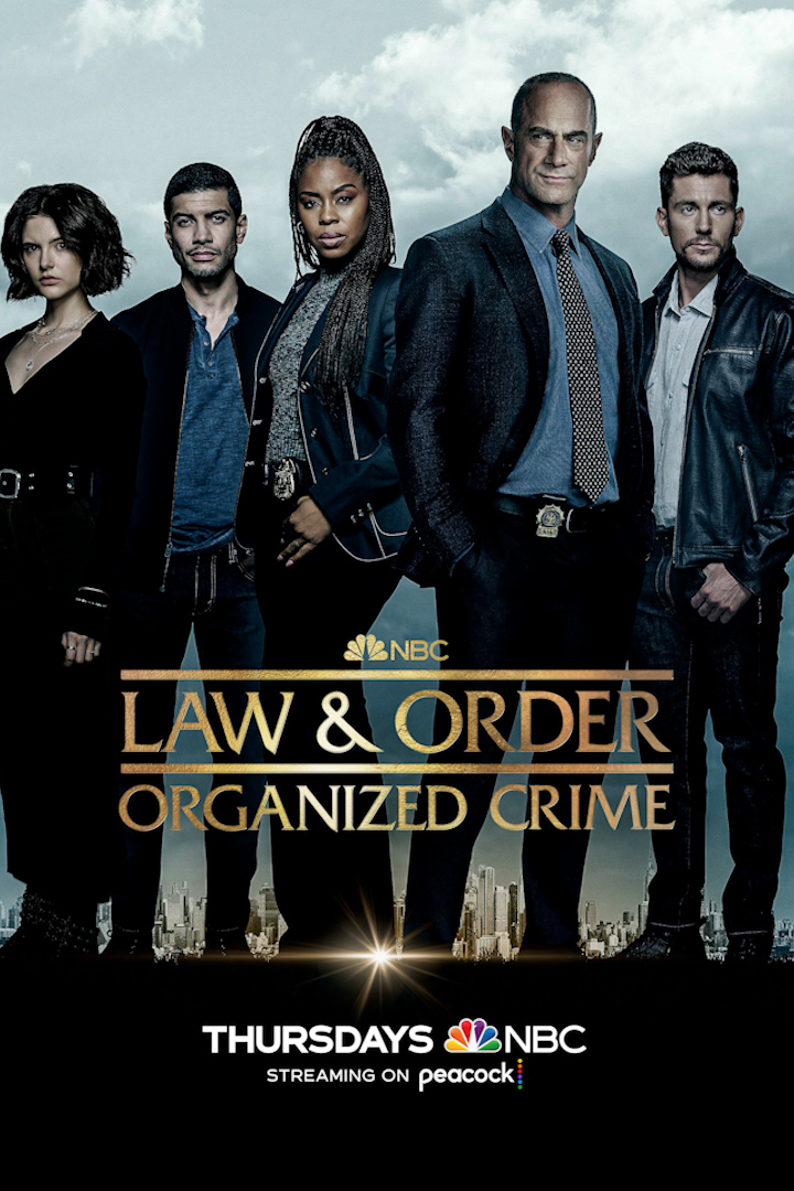 法律与秩序：组织犯罪第三季