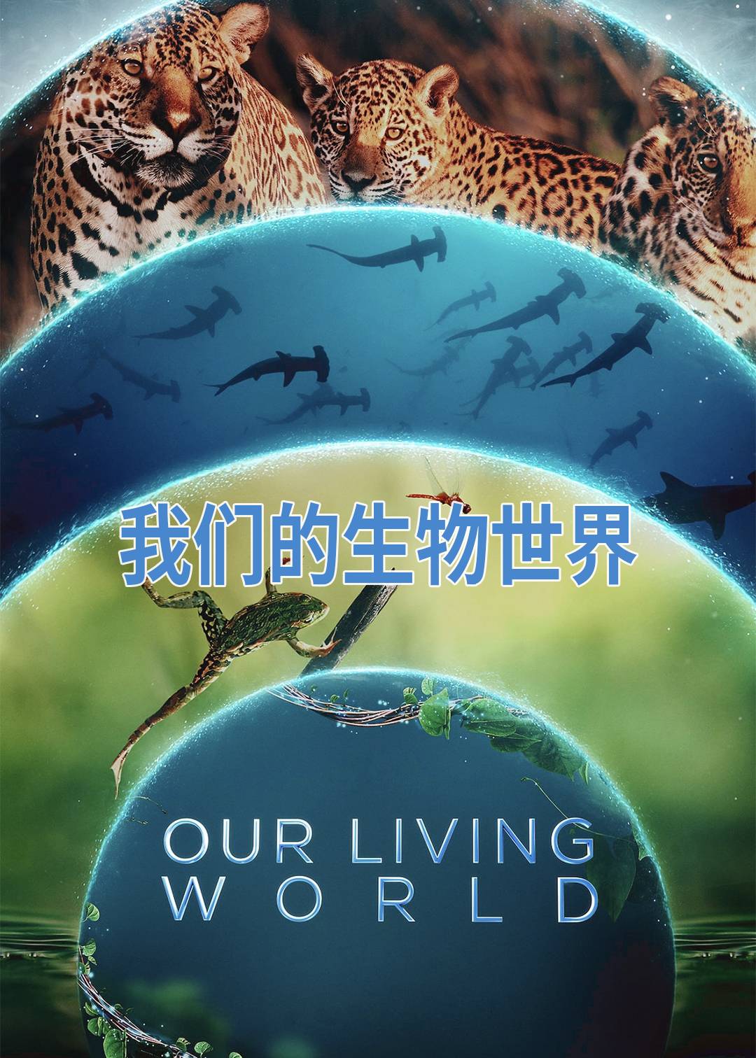 我们的生物世界