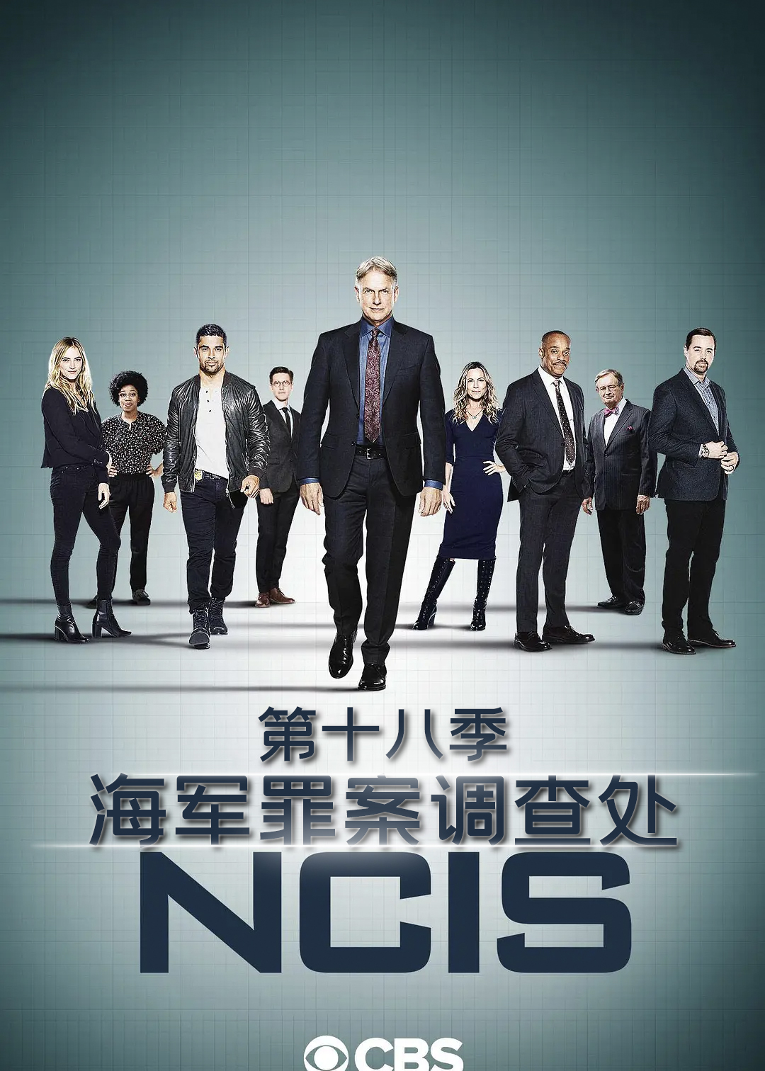 海军罪案调查处第十八季