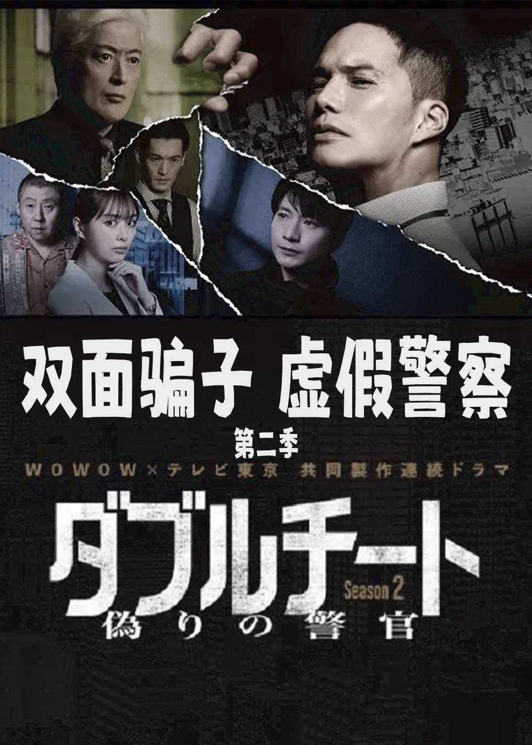 双面骗子 虚假警察第二季