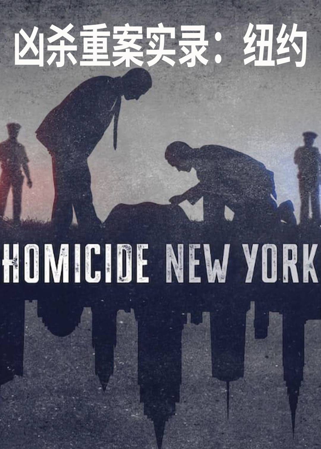 凶杀重案实录：纽约
