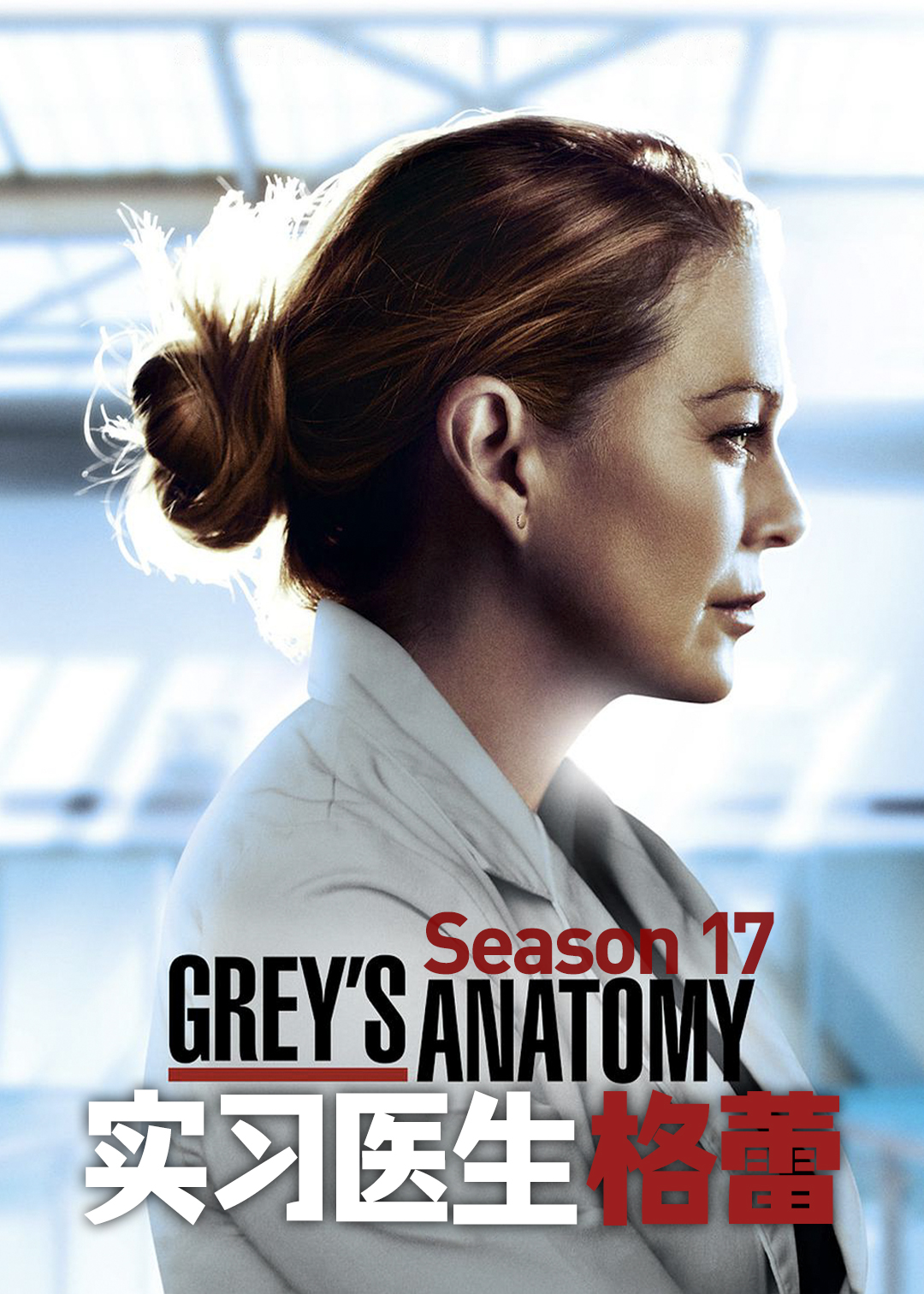实习医生格蕾第十七季