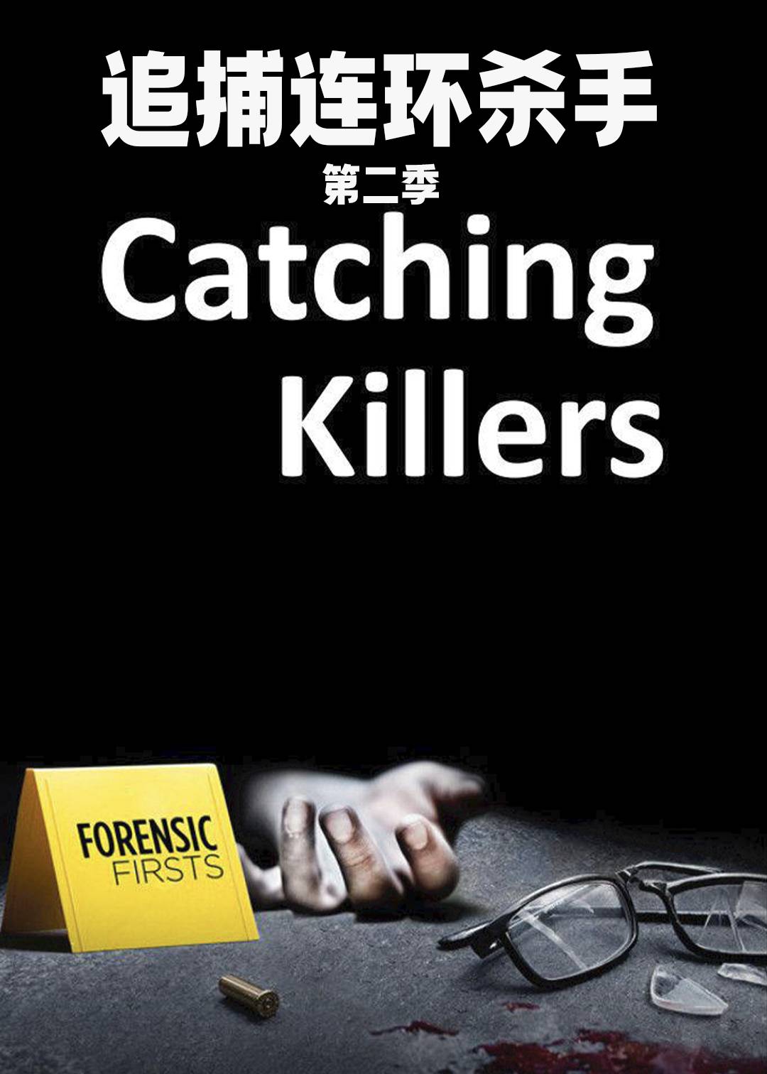 追捕连环杀手第二季
