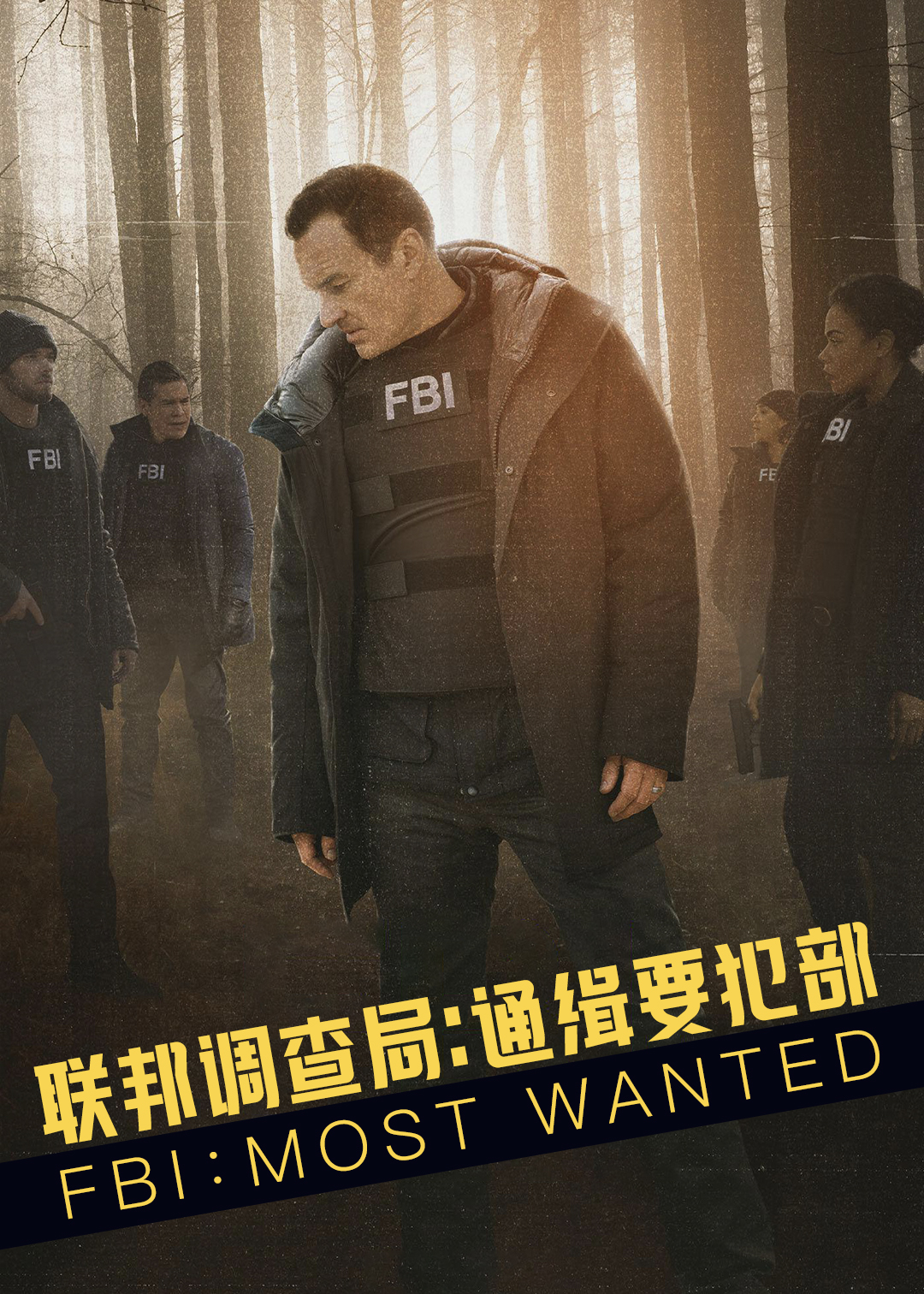 联邦调查局：通缉要犯第二季