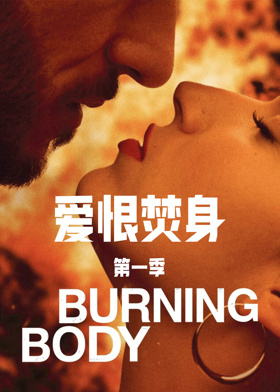爱恨焚身第一季