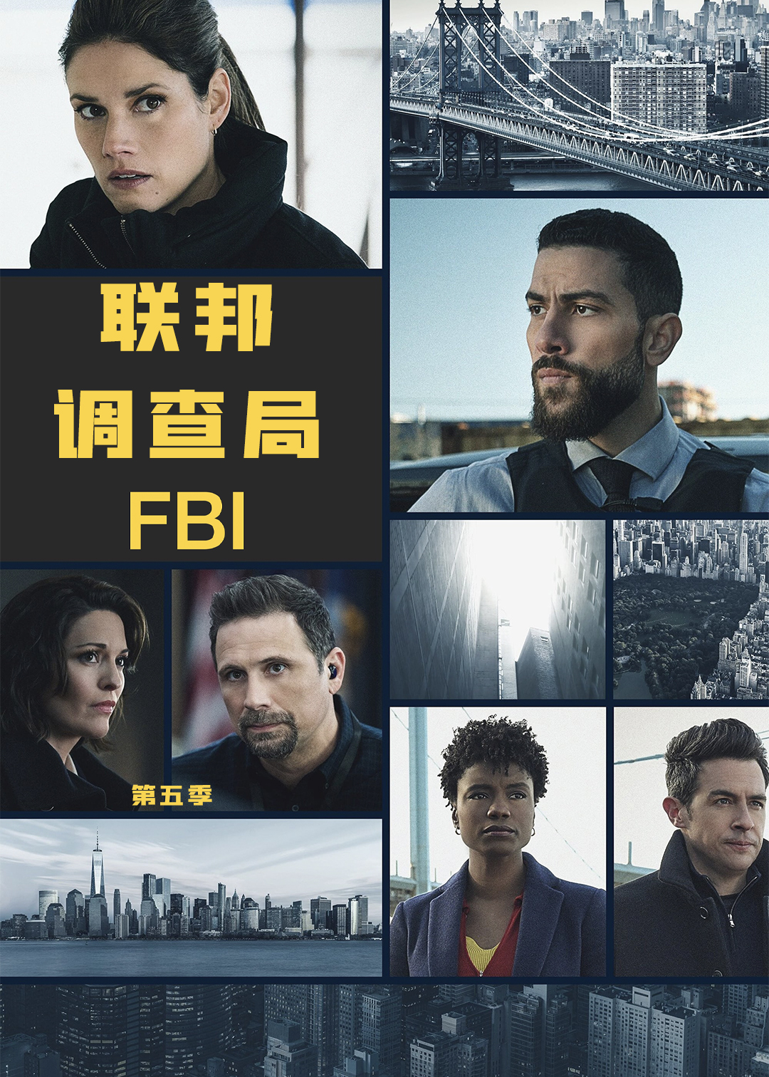 联邦调查局第五季