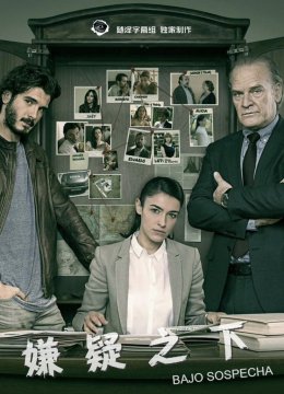 嫌疑之下第1季