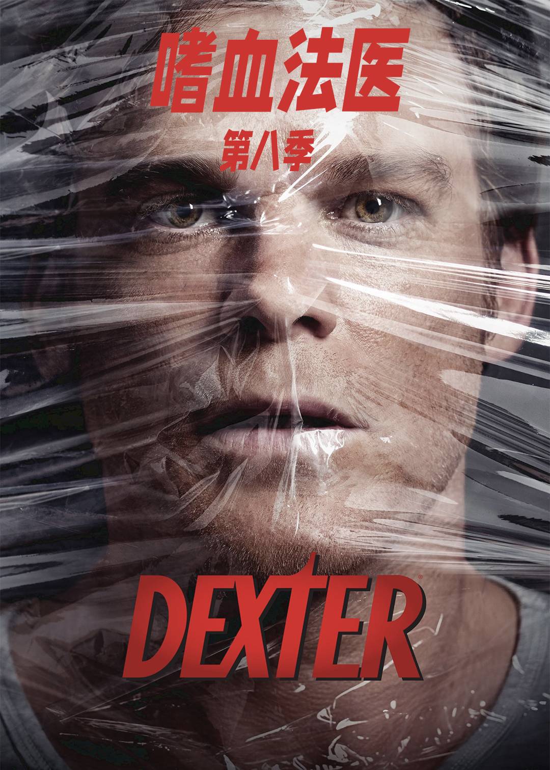 嗜血法医第8季