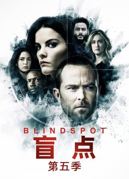 盲点第5季