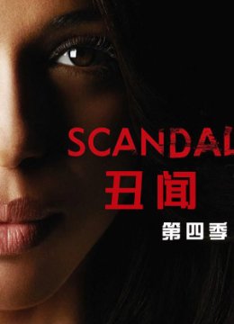 丑闻第4季
